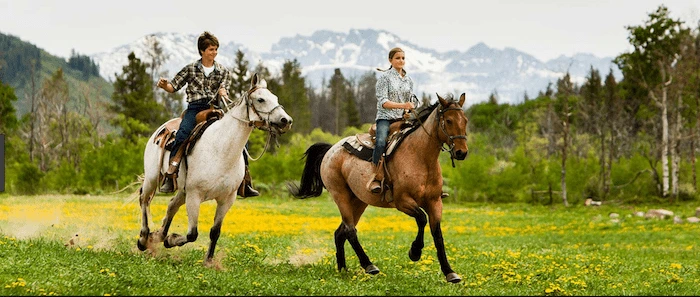 Confident plus-size woman riding Lancashire a horse through a field with a smile on her face.